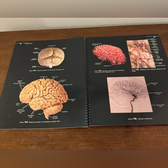 Martin’s Atlas of the Human Body 9th Edition - Picture 5 of 8